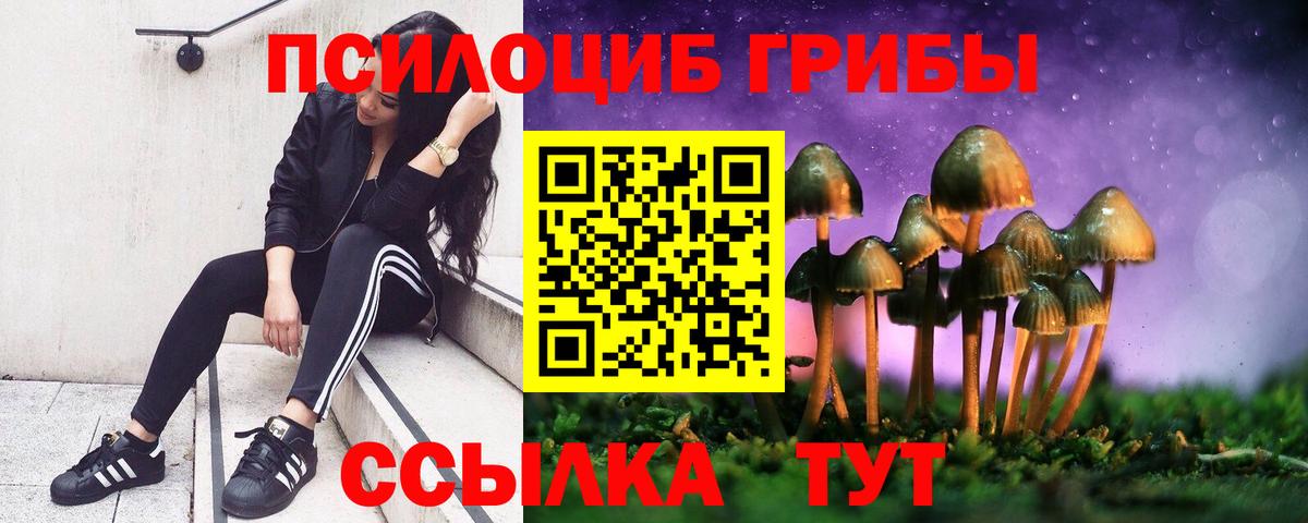 Гатчина  Псилоцибиновые грибы Magic Shrooms  Вход с VPN 